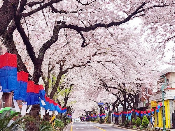 다운로드 (29)