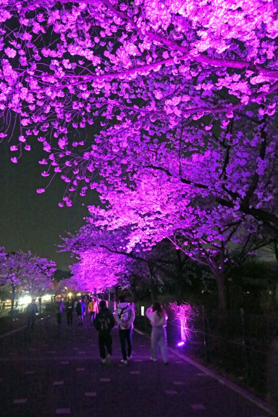 다운로드 (31)