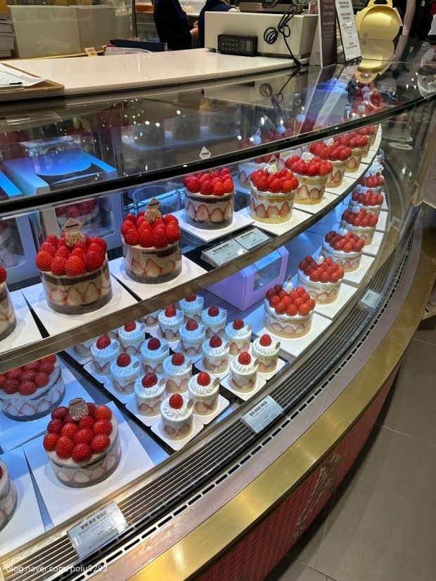 Is the World's Largest Department Store Really in Korea? (Yes, it’s in Busan!) 다운로드 (36)