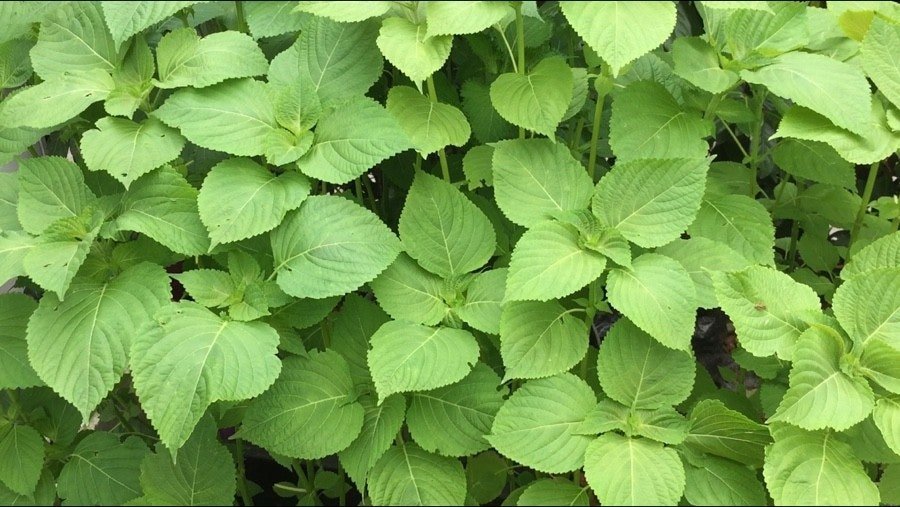 다운로드 (24)