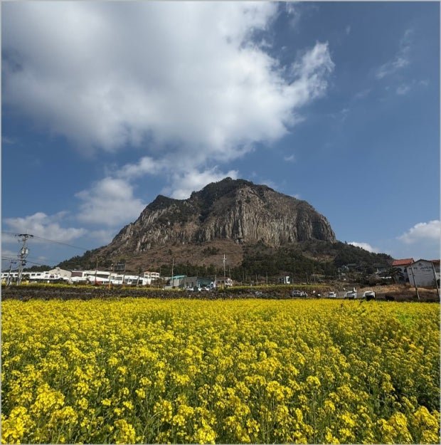 다운로드 (36)