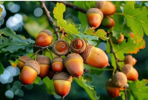 다운로드 (36)