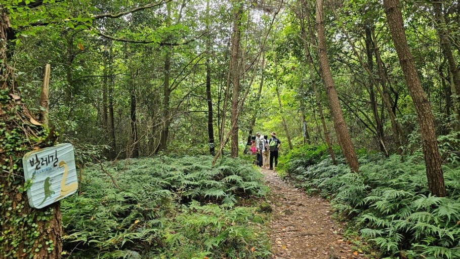 다운로드 (41)