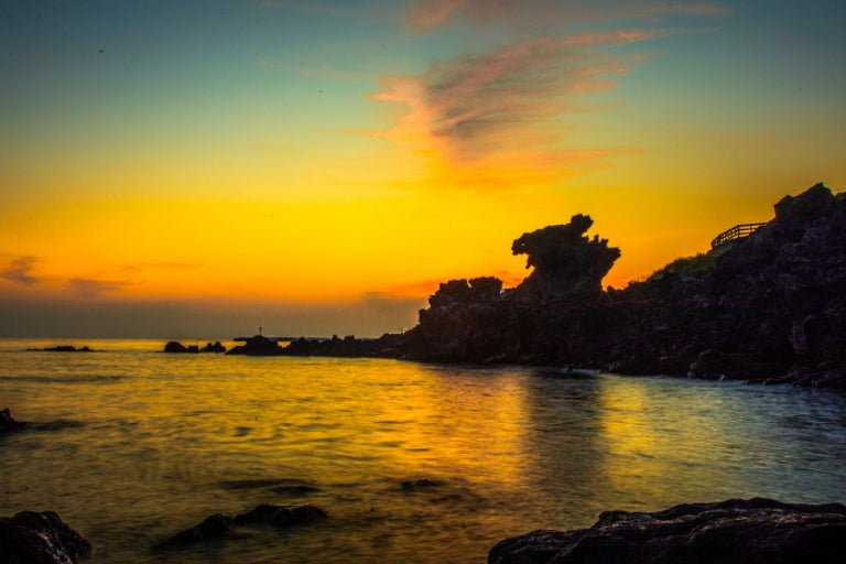 다운로드 (50)