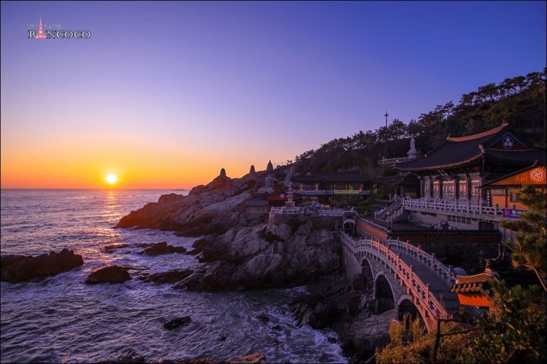 다운로드 (57)